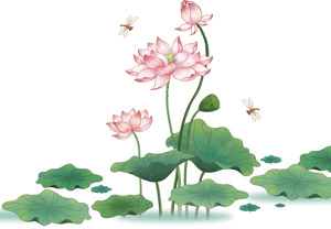 荷花与蜻蜓唯美插画合集