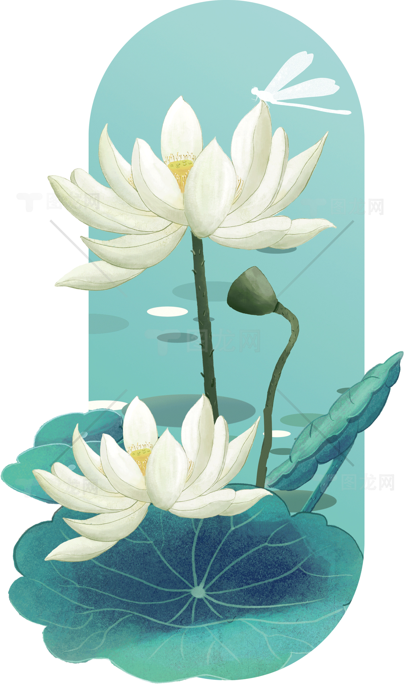 清新荷花与蜻蜓插画素材