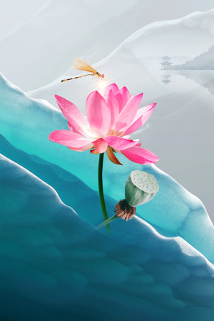 唯美荷花与蜻蜓的诗意画面