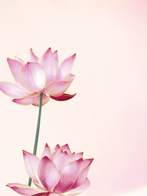 优雅粉色莲花插画背景