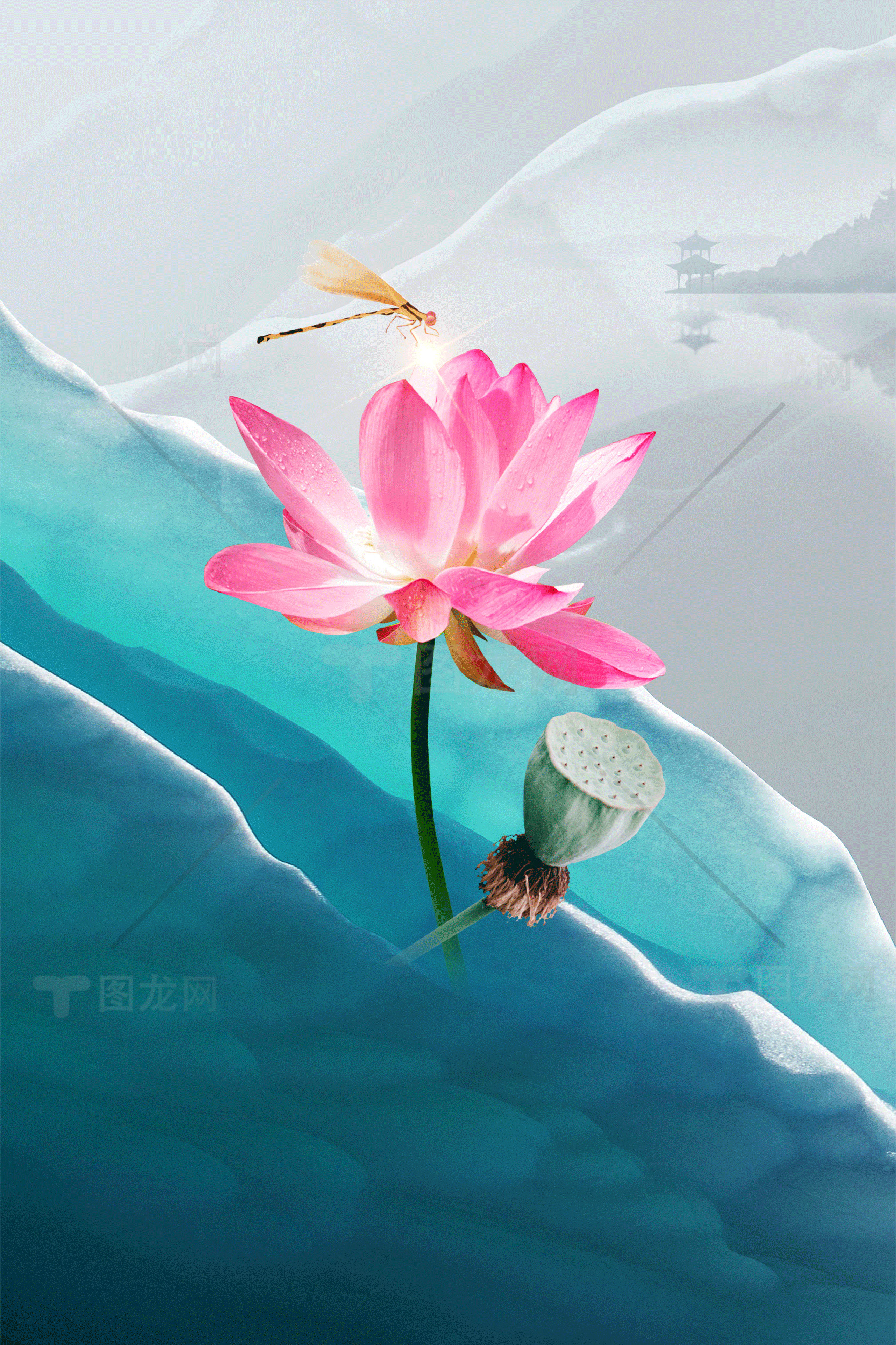 唯美荷花与蜻蜓的诗意画面素材