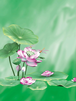 荷花与蜻蜓的唯美画作