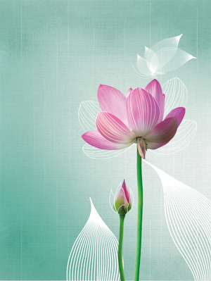 优雅荷花背景图片