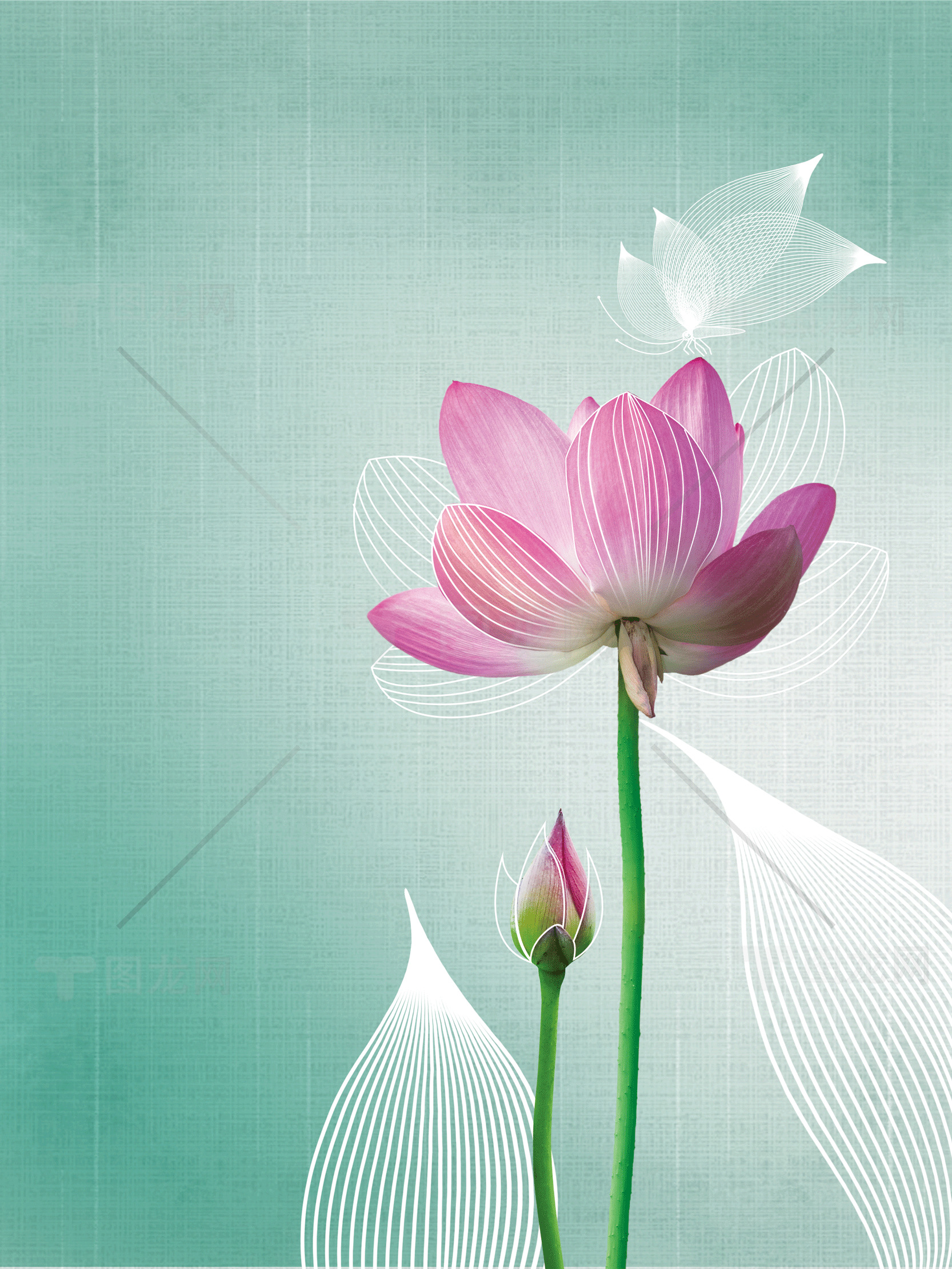 优雅荷花背景图片素材