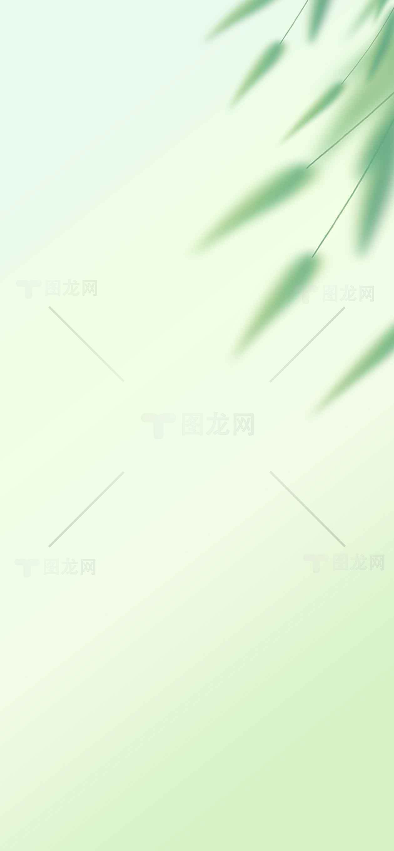 自然清新的竹叶背景高清图片素材