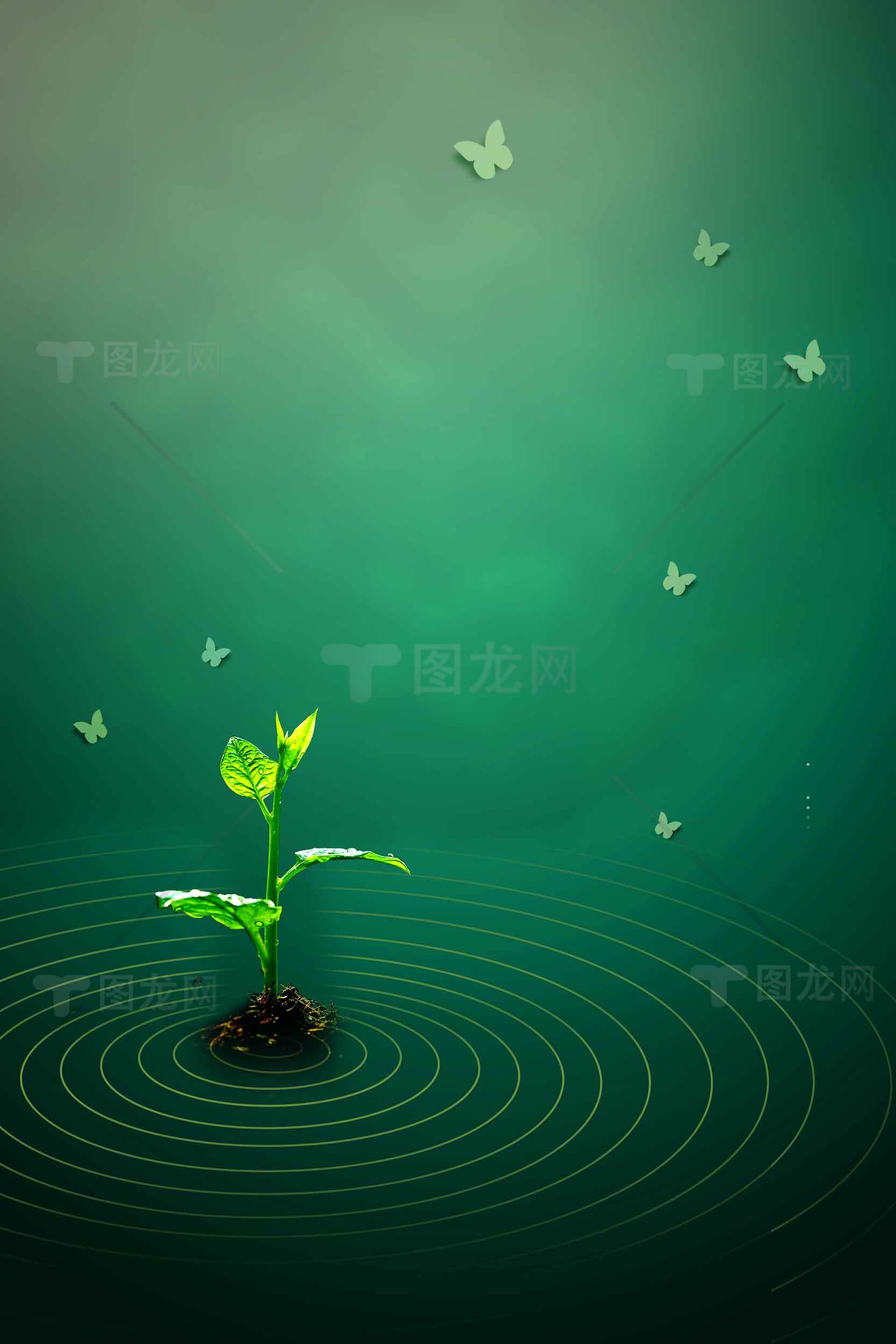 绿色植物与蝴蝶的和谐自然景观素材