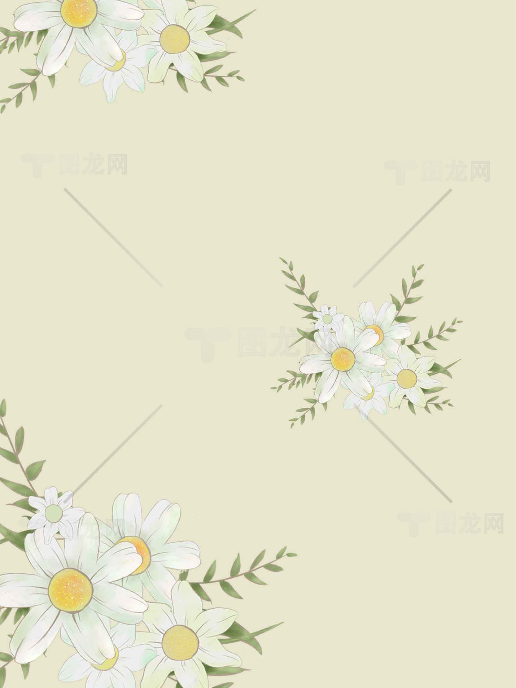 清新雏菊花卉背景图片设计素材