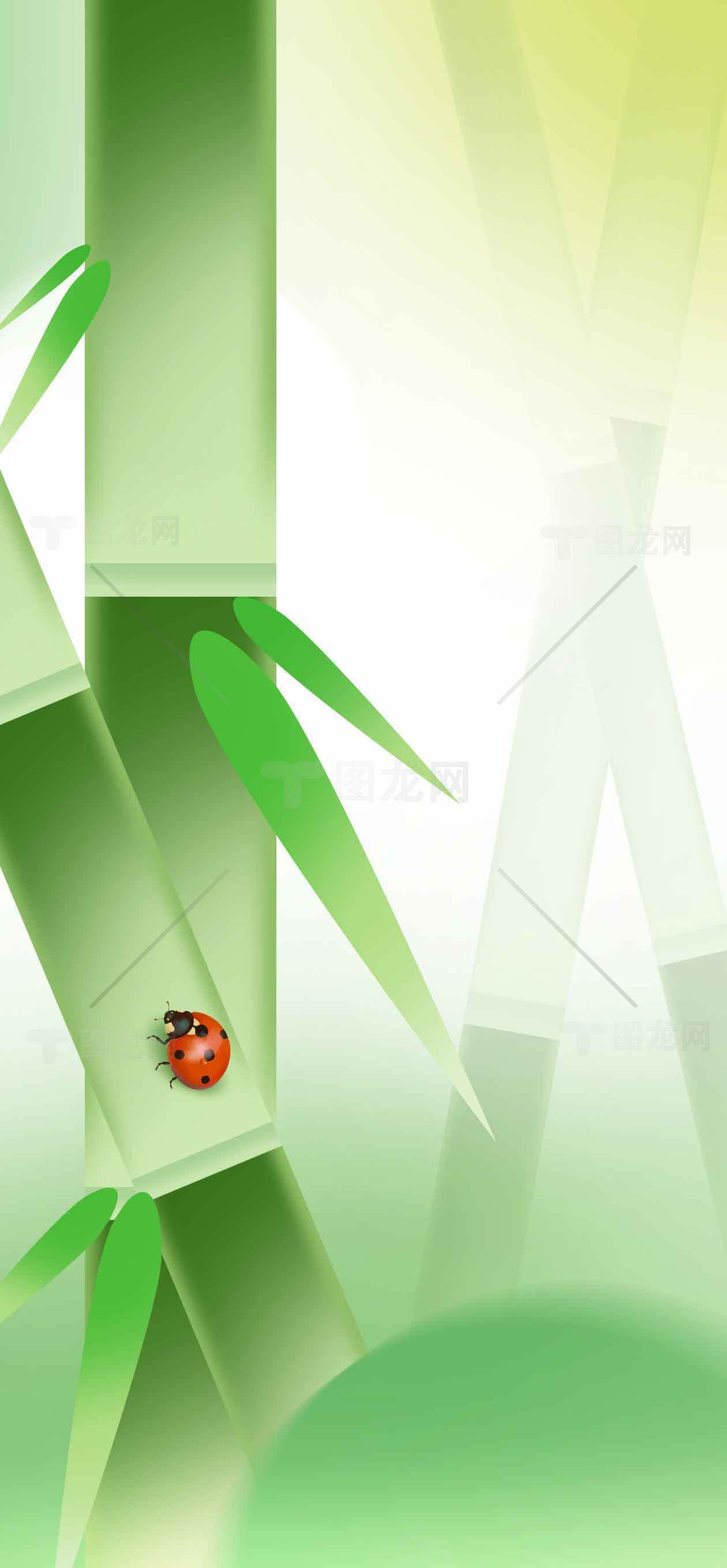 竹子与瓢虫的自然清新背景图片素材