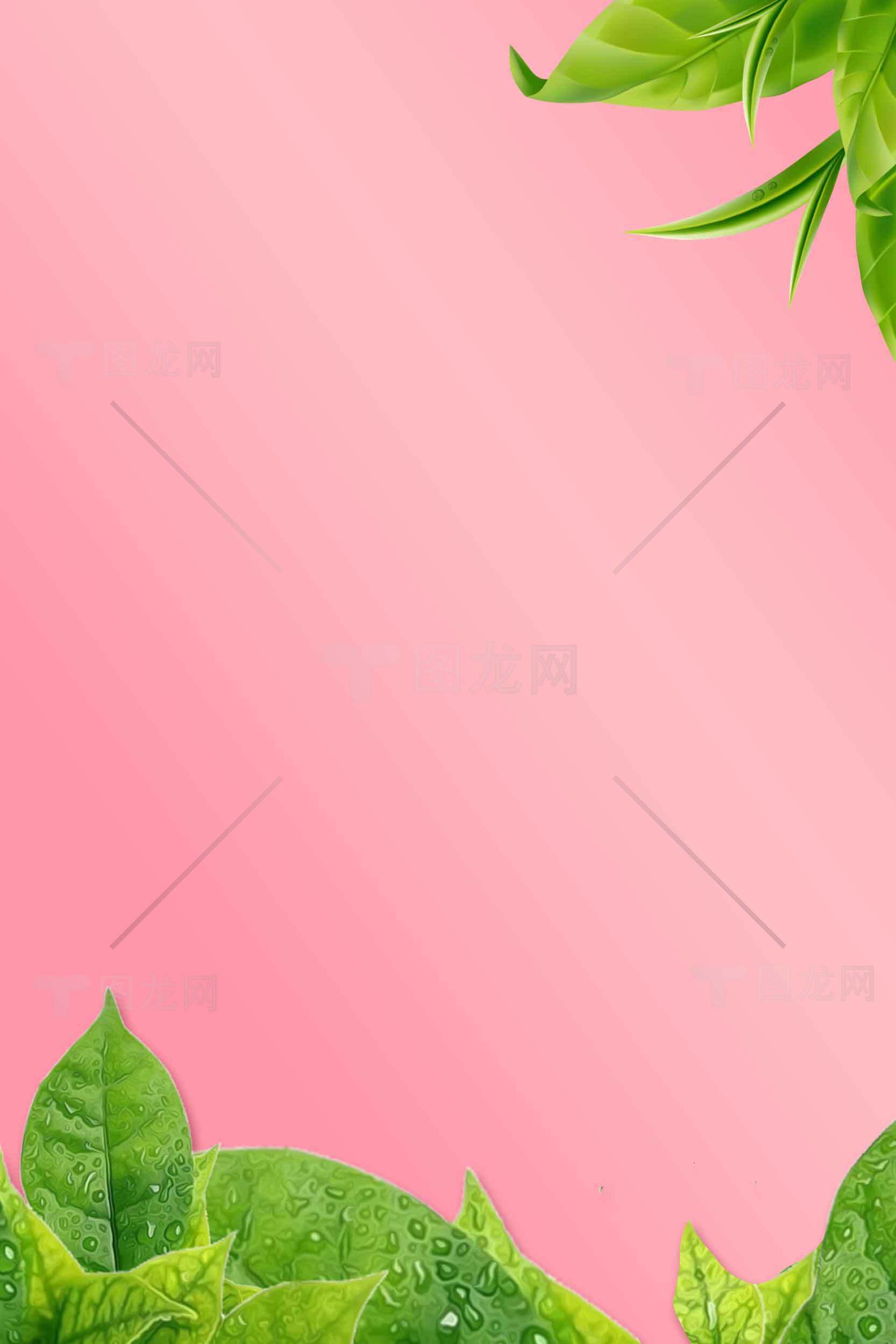 粉色背景与绿色叶子清新自然风格图片素材
