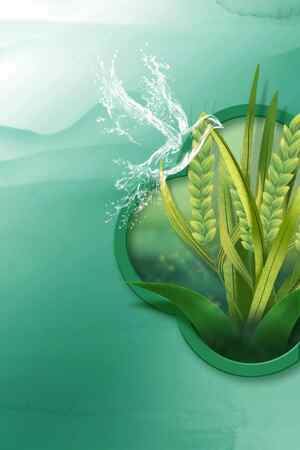 绿色自然健康背景设计