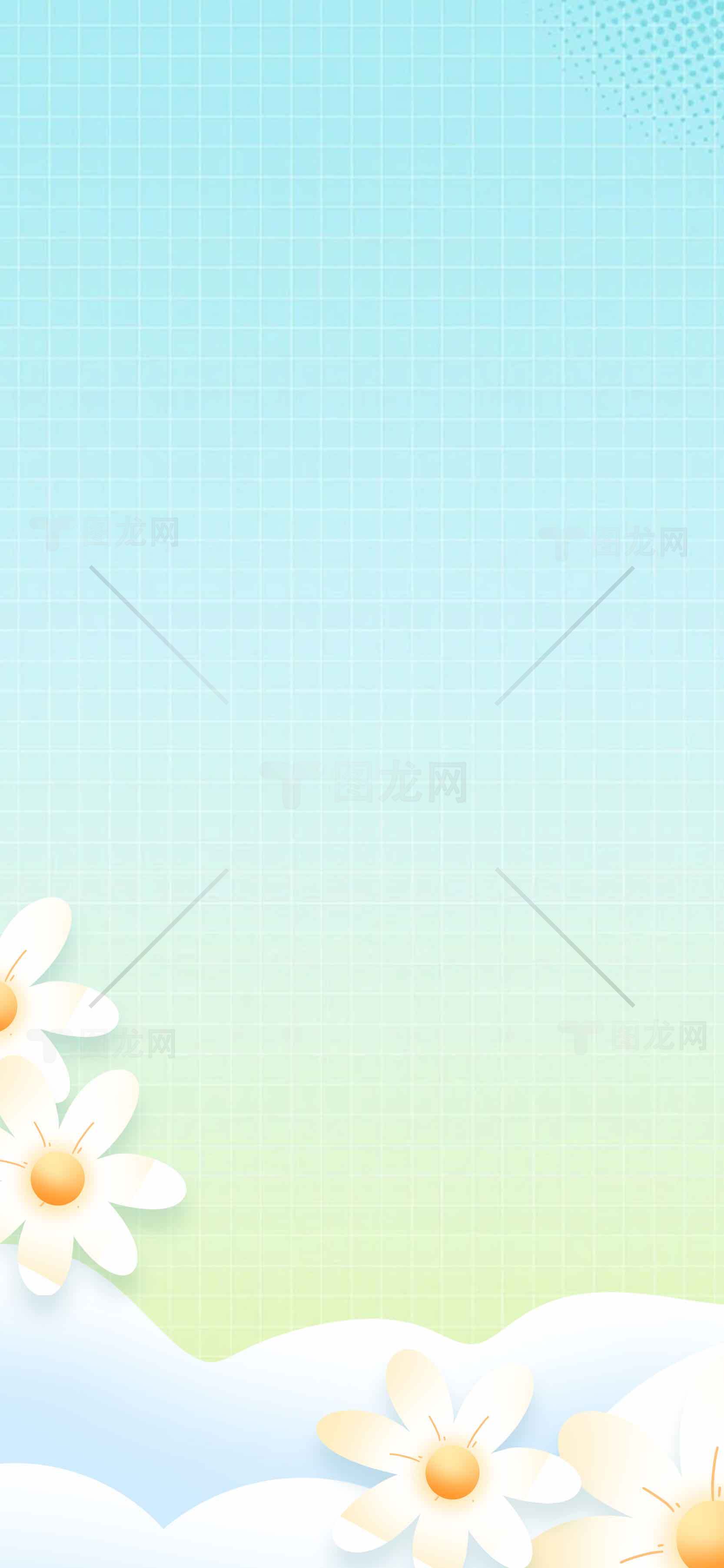 清新春日小雏菊背景图片素材