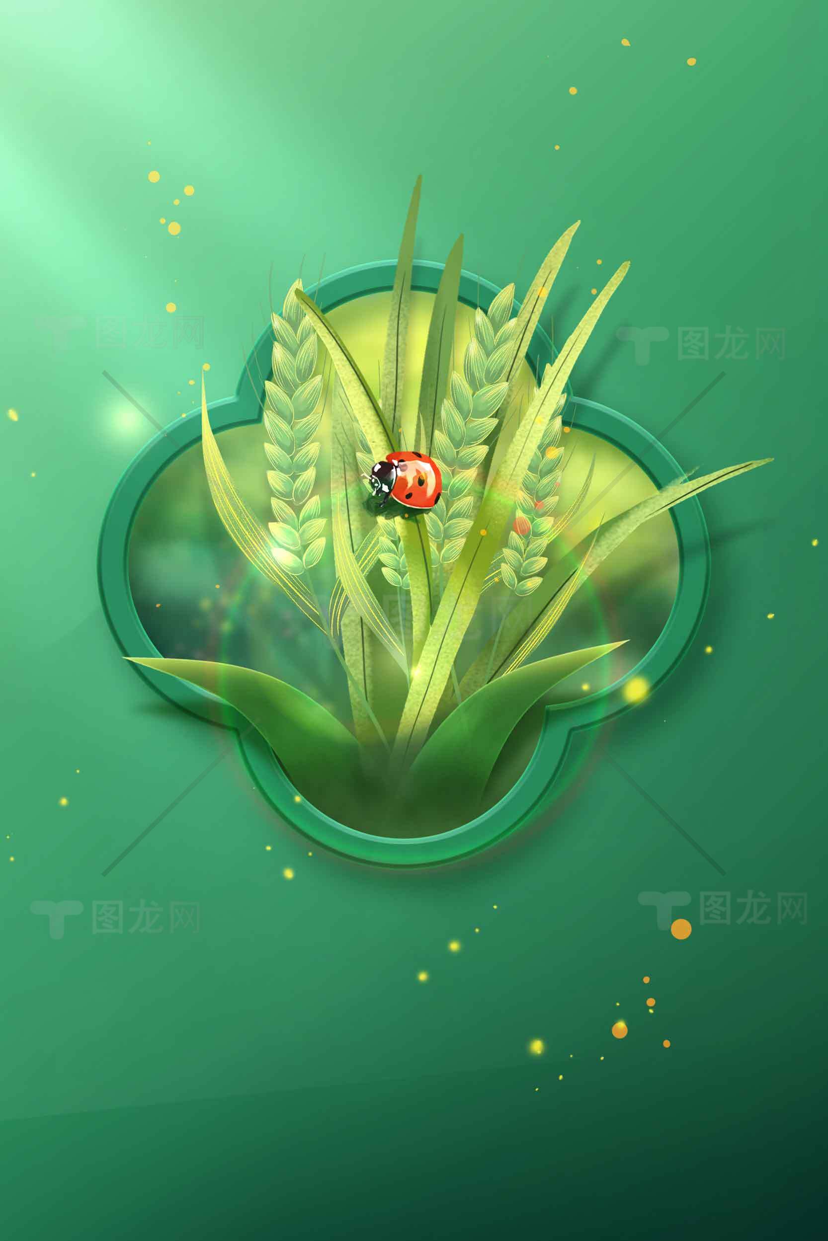 绿色自然麦穗与瓢虫主题插画素材