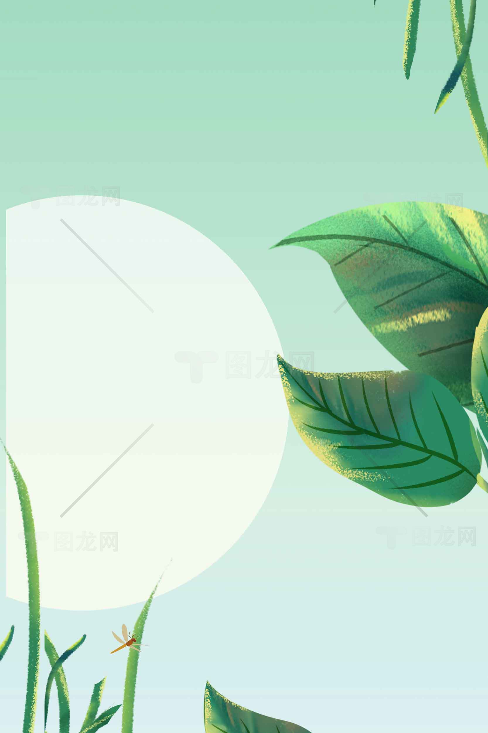 自然清新风绿色植物背景高清图片素材