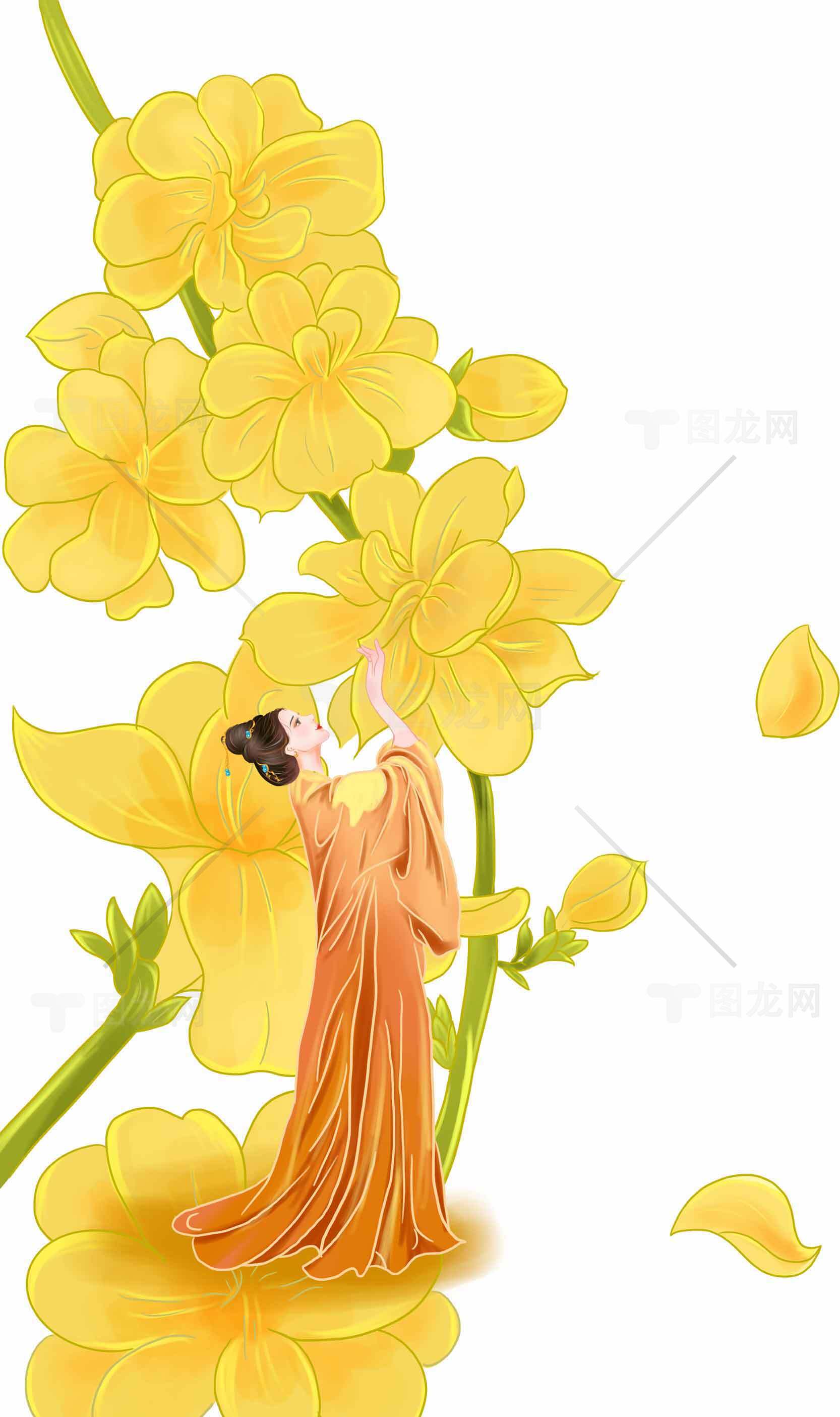 唯美古风女子与黄花插画图片素材