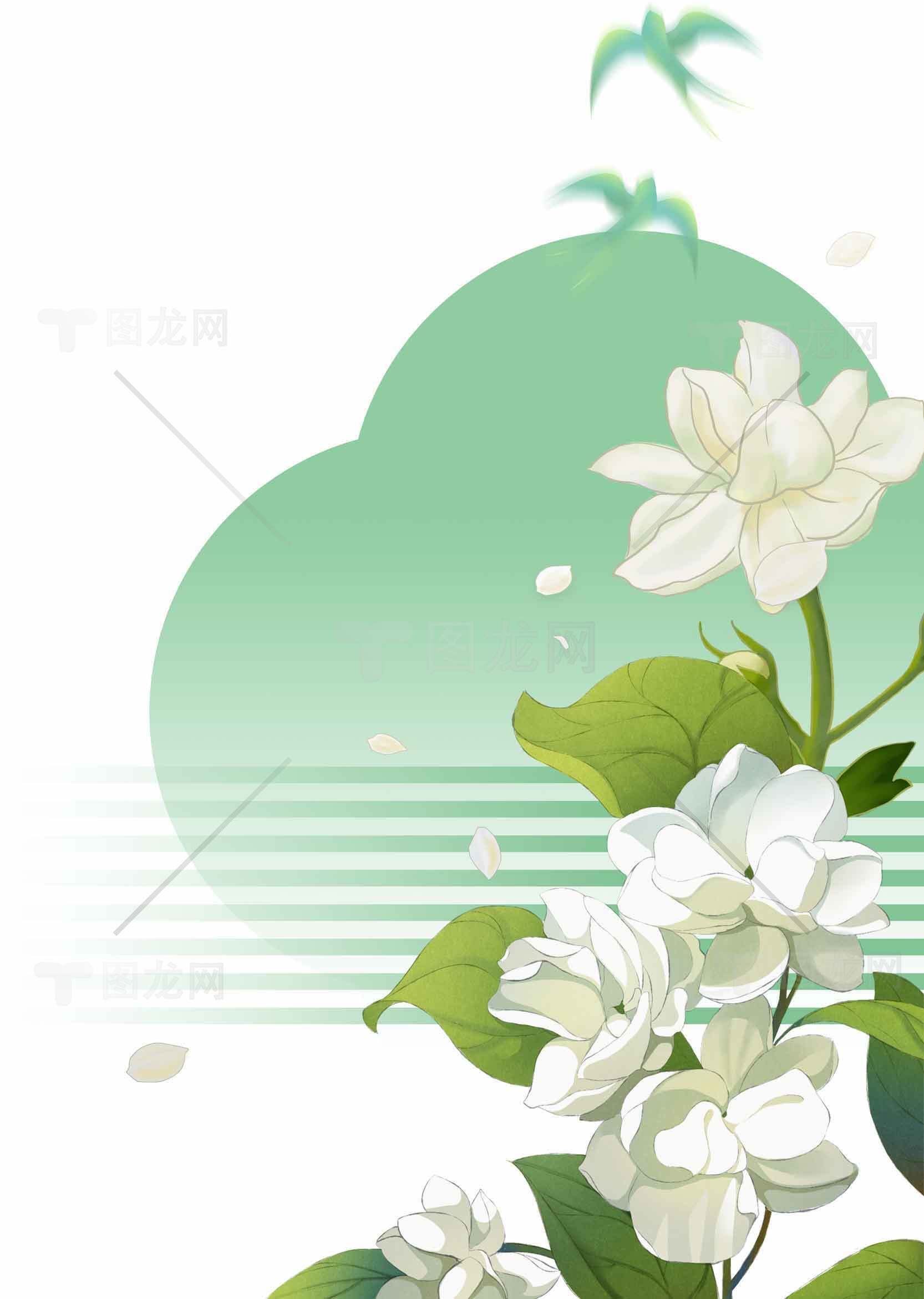 清新绿意背景下的茉莉花插画设计素材