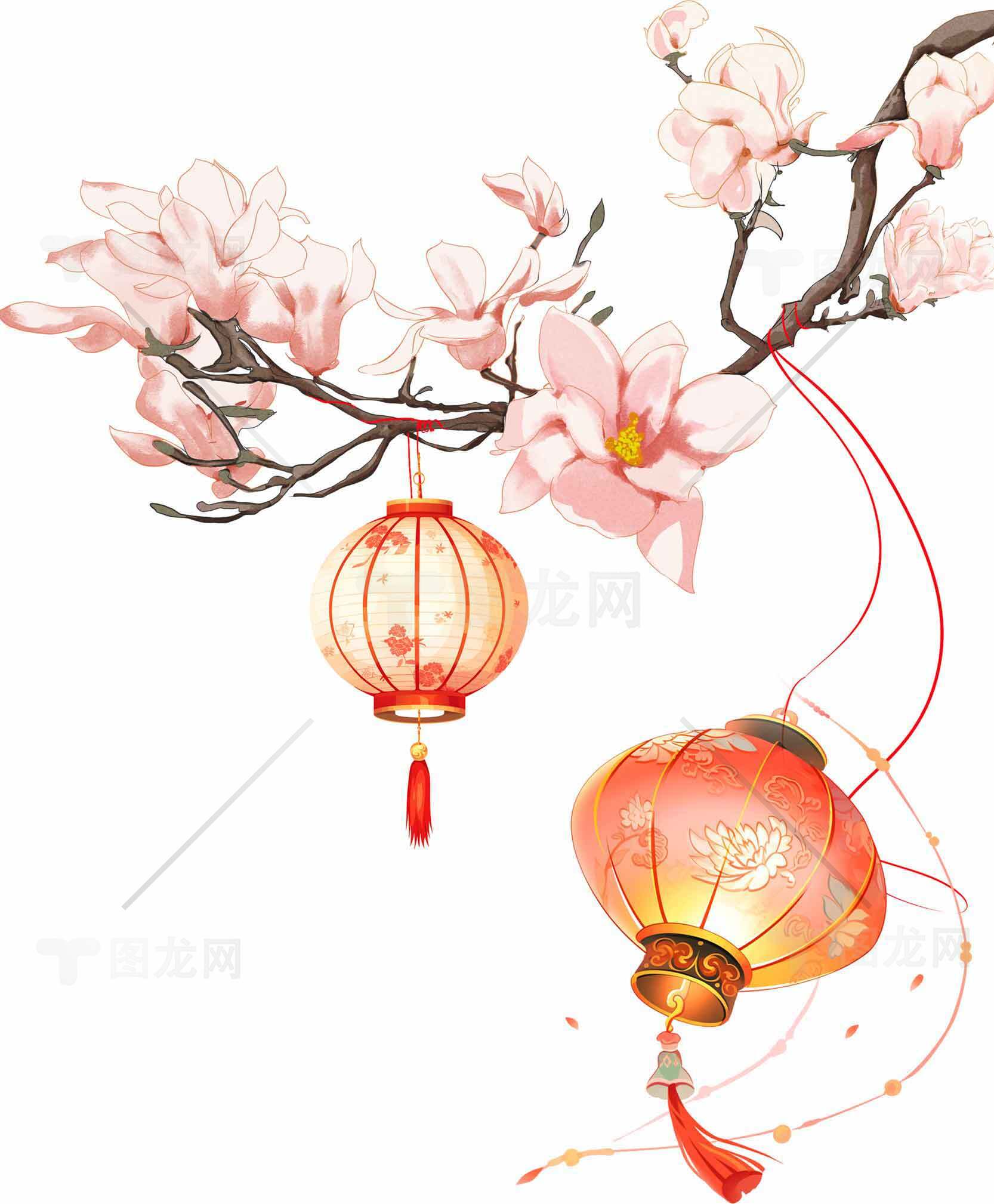 唯美中国风花灯与玉兰花插画图片素材