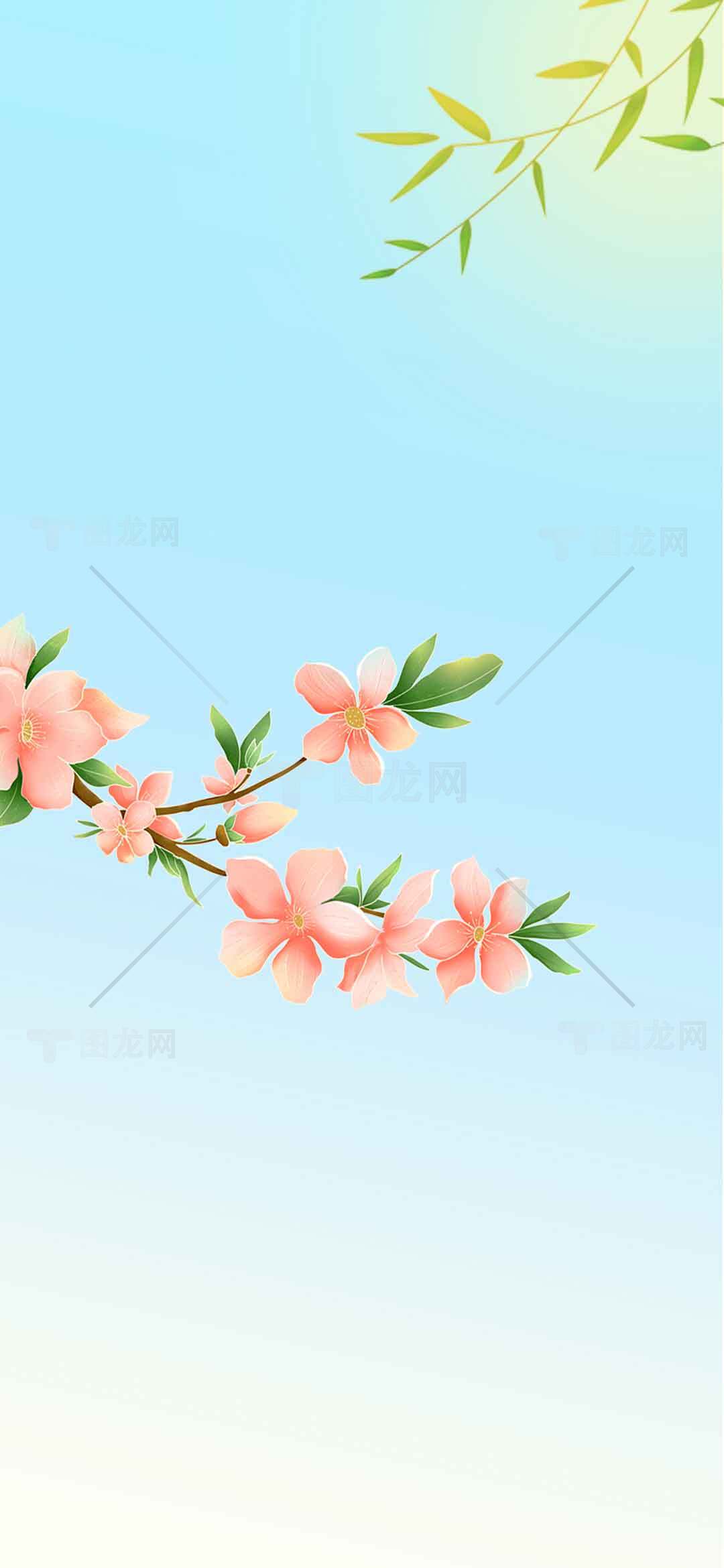 春日唯美粉色花朵与蓝天背景图片素材