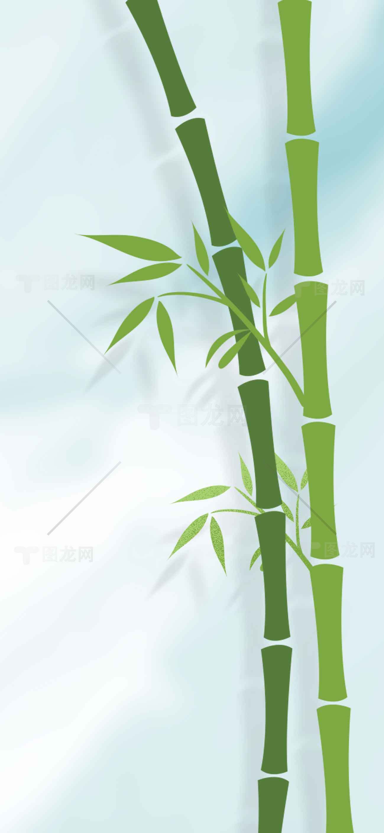 清新竹子背景图片素材