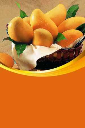 新鲜芒果篮子图片-夏季水果高清素材