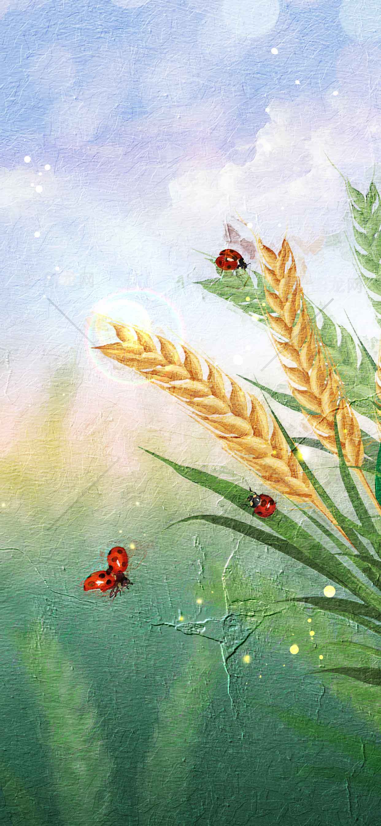 田野麦穗与瓢虫的唯美插画背景素材