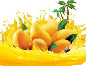 新鲜芒果与果汁飞溅的热带风情图片