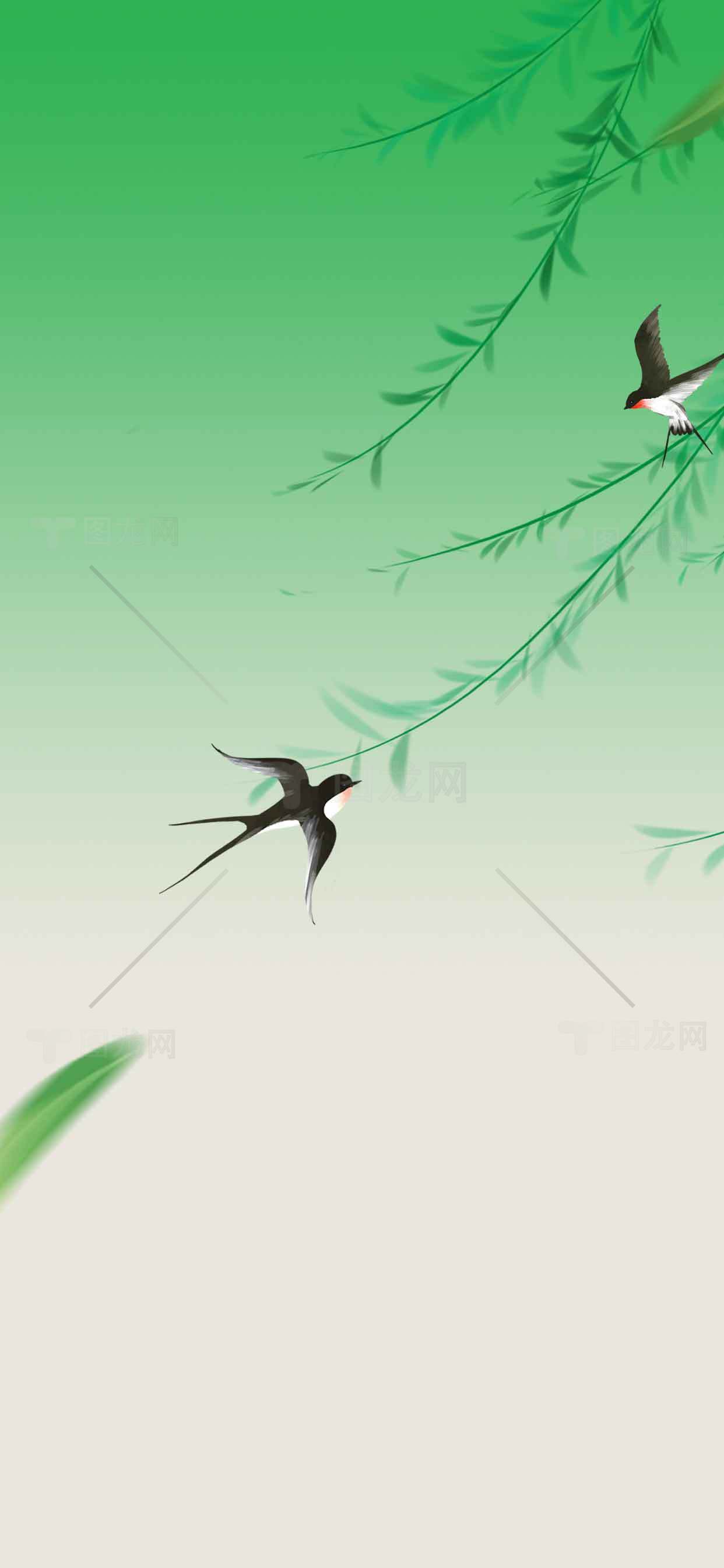 春天的绿色背景与飞燕插画素材