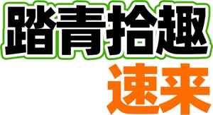 踏青拾趣速来宣传海报