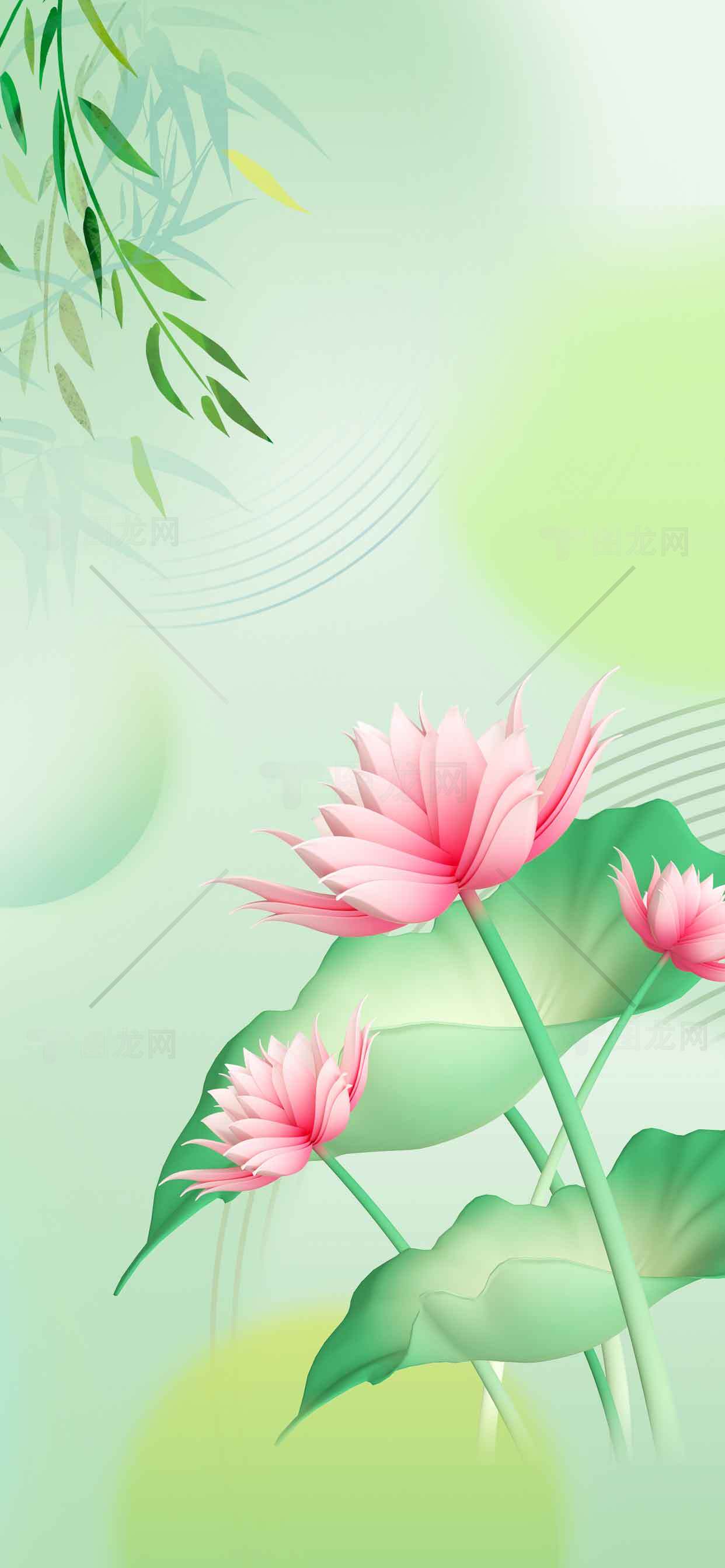 清新唯美荷花背景图片素材