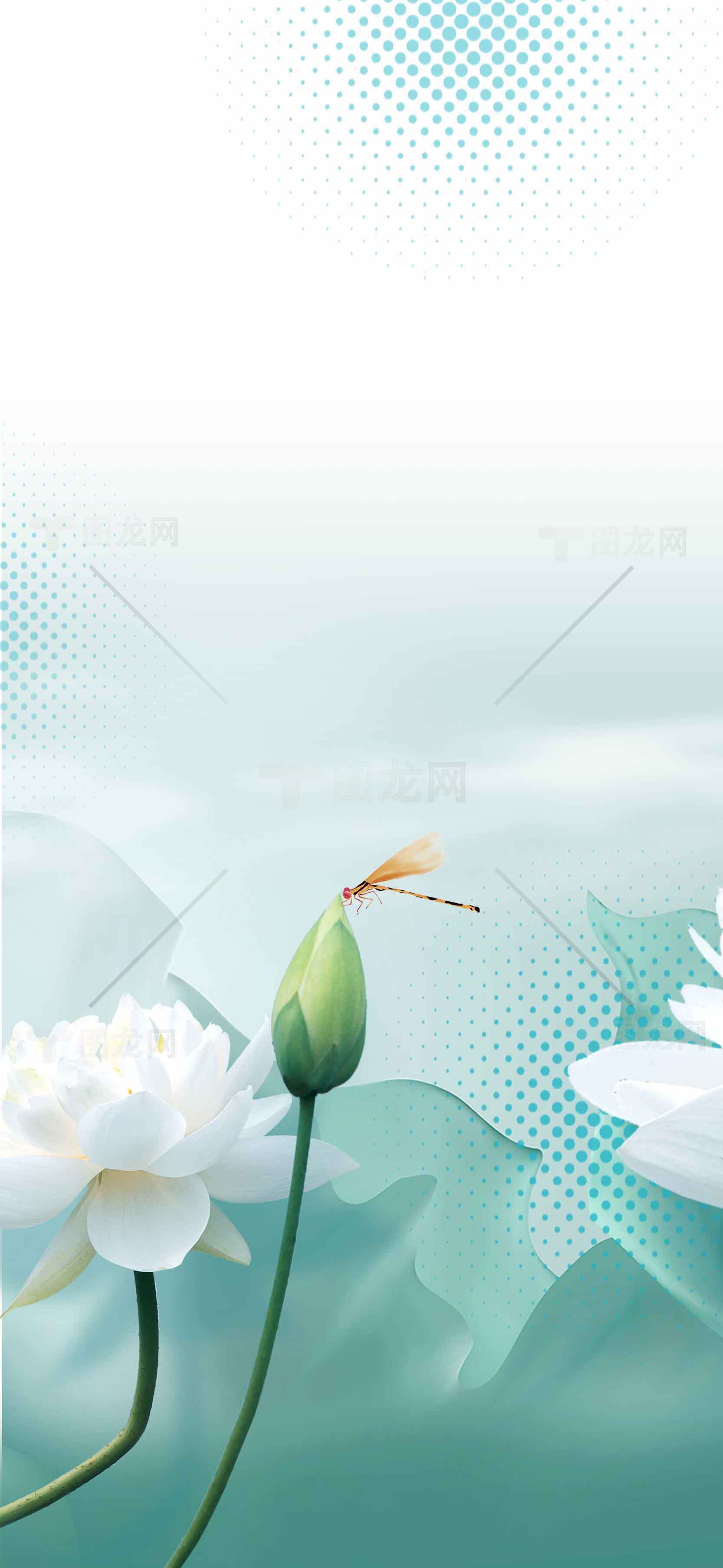清新荷花与蜻蜓背景图片素材