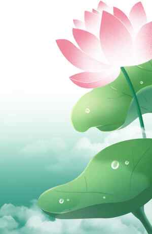 清新荷花插画背景图片