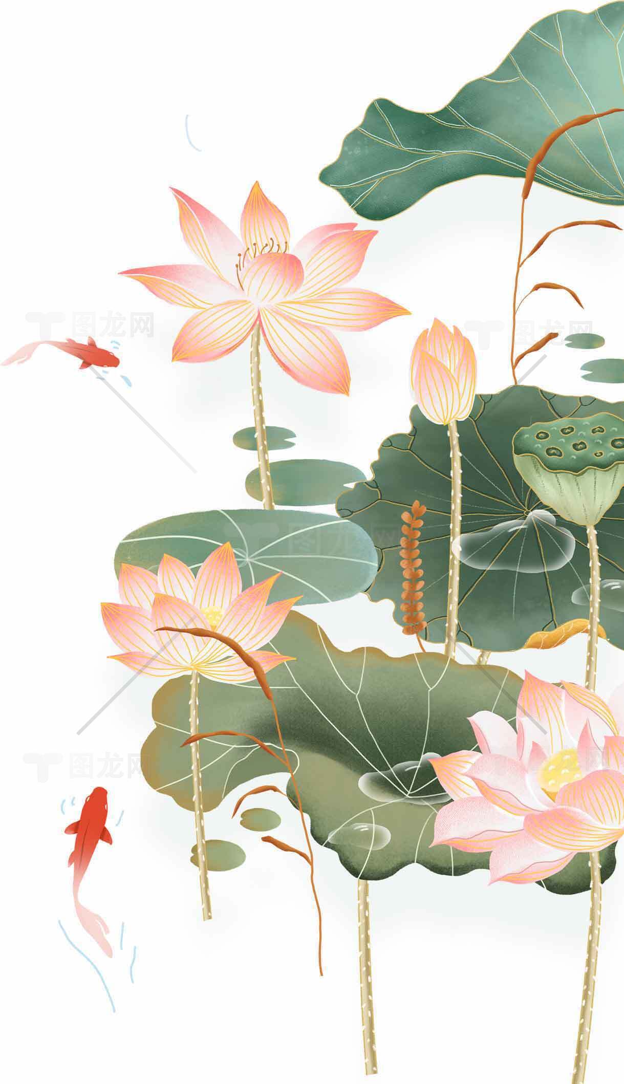 唯美荷花与锦鲤插画背景图片素材