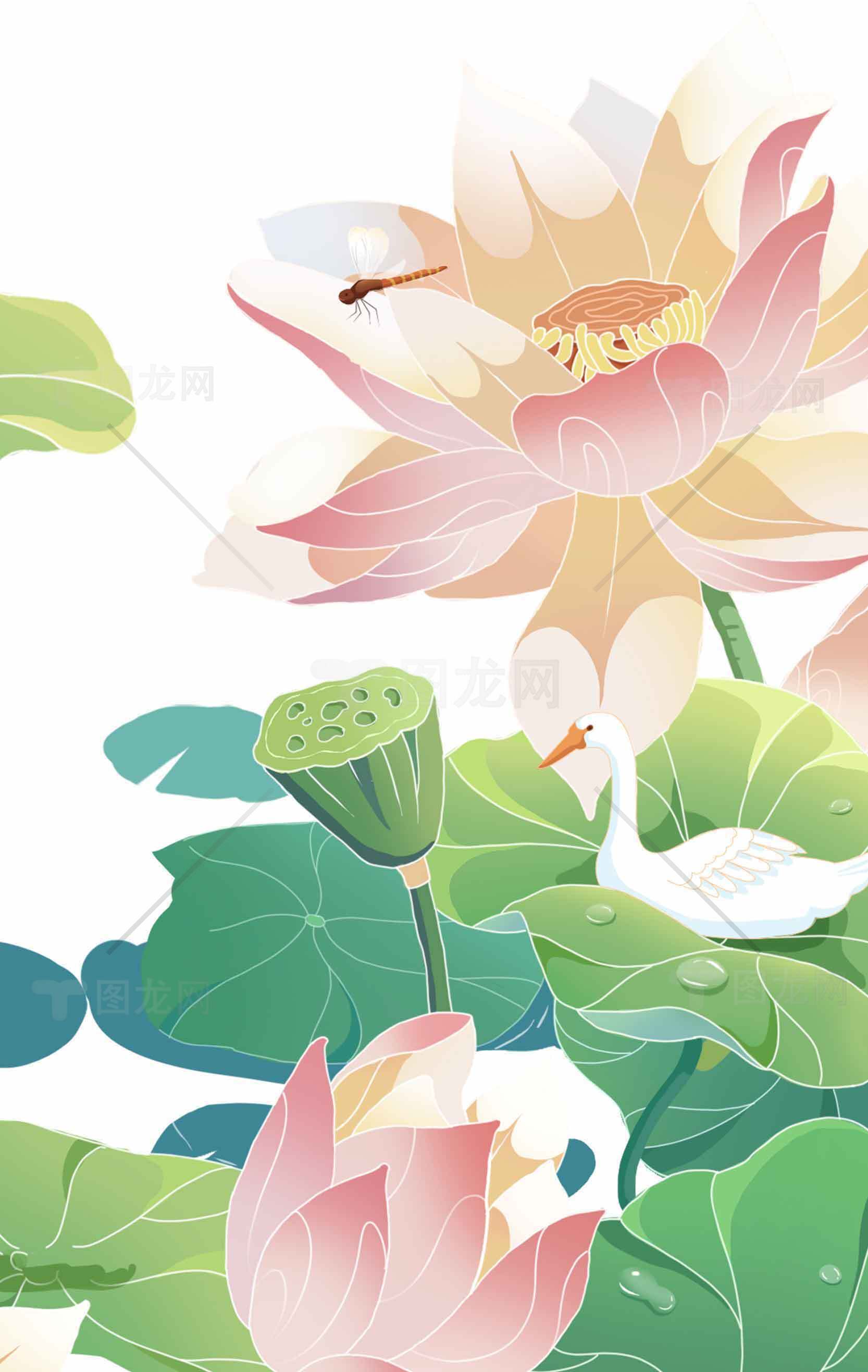 唯美荷花与白鹭插画背景图片素材
