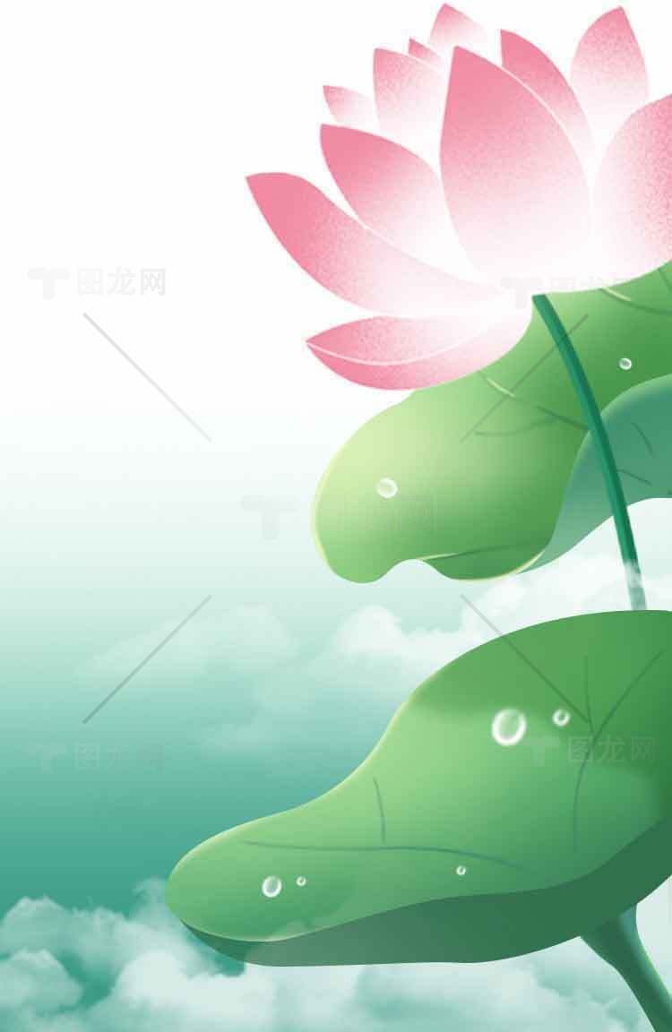 清新荷花插画背景图片素材