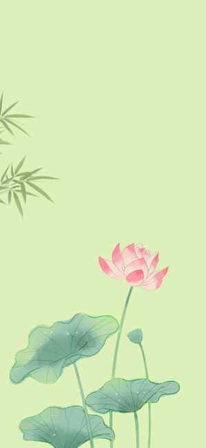 清新唯美荷花背景图片