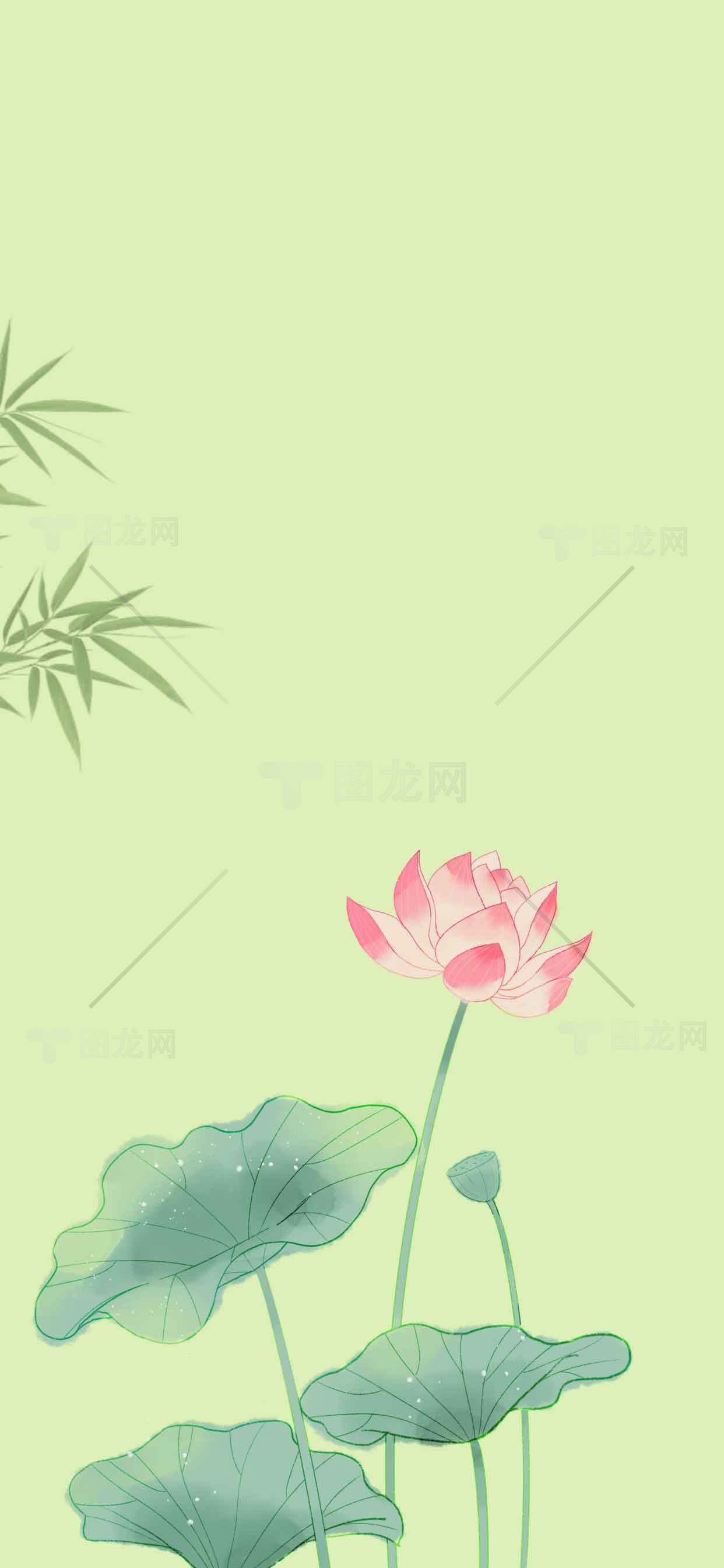 清新唯美荷花背景图片素材