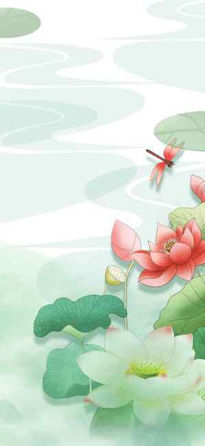 唯美荷花与蜻蜓插画背景图片
