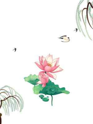 唯美荷花与柳树水墨画背景图片