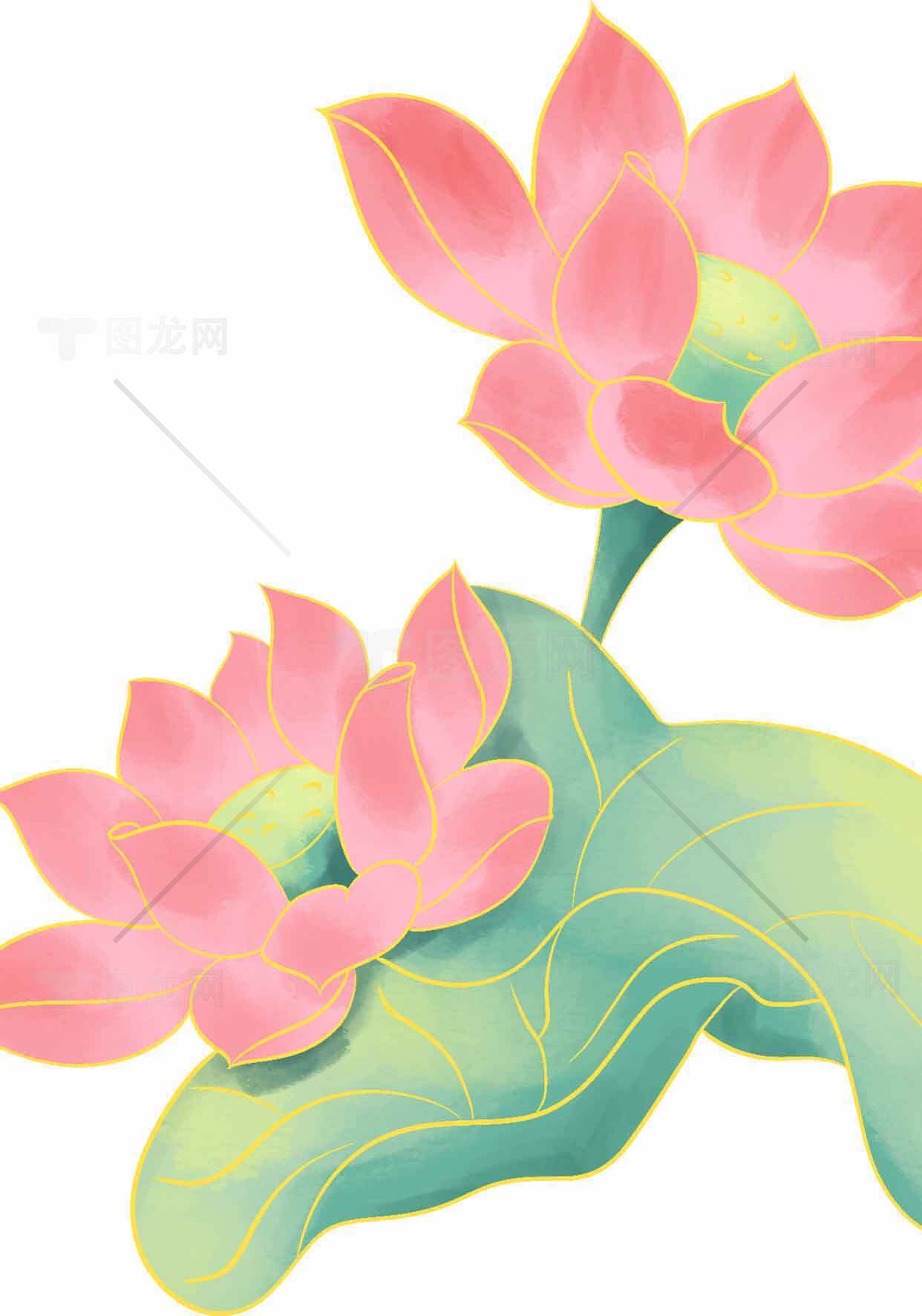 粉色荷花插画设计 | 清新自然风格艺术作品素材