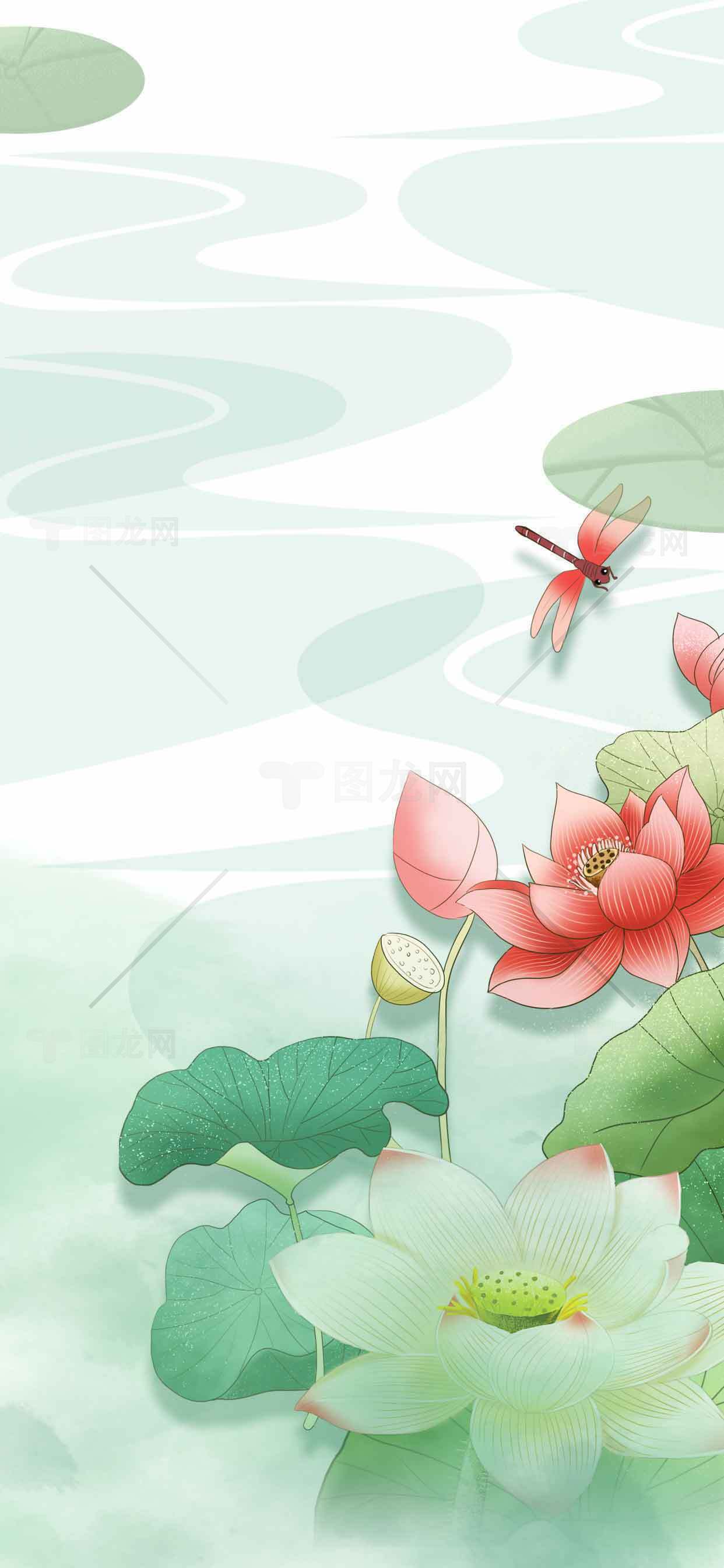 唯美荷花与蜻蜓插画背景图片素材