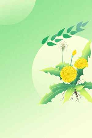 清新绿色背景中的蒲公英插画设计