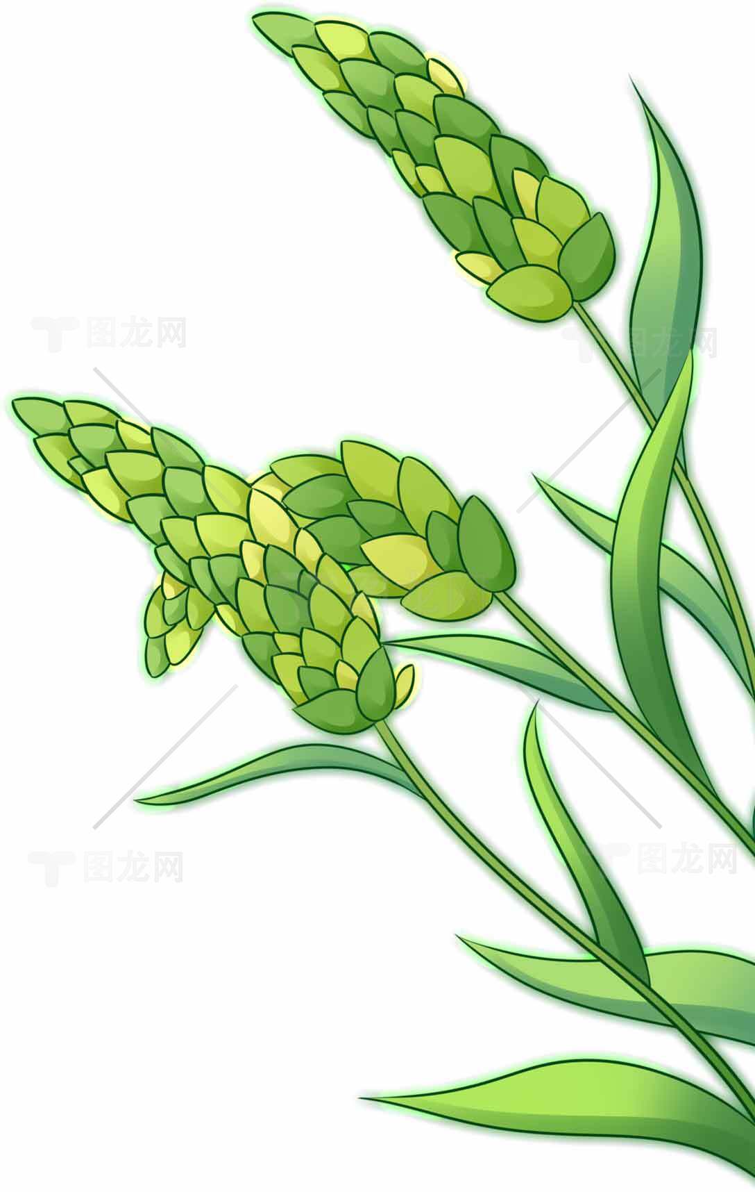 绿色植物插画设计：自然与清新之美素材