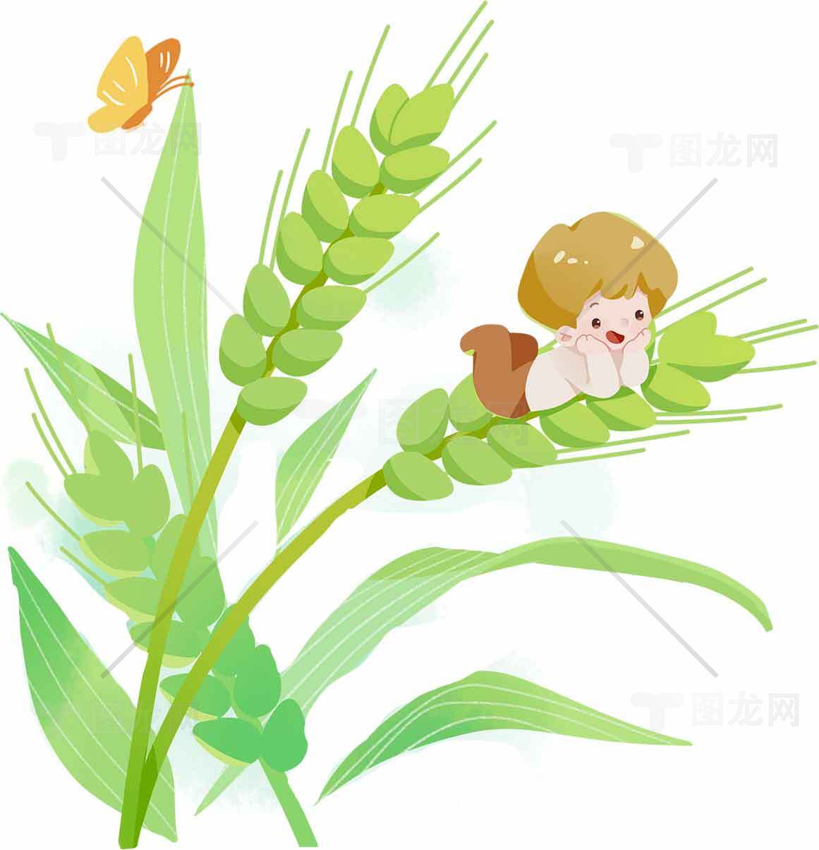 可爱松鼠与麦穗插画图片素材