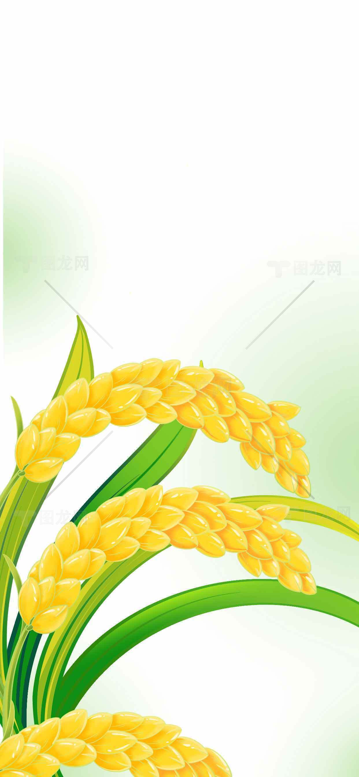 稻谷与绿色背景插画设计素材