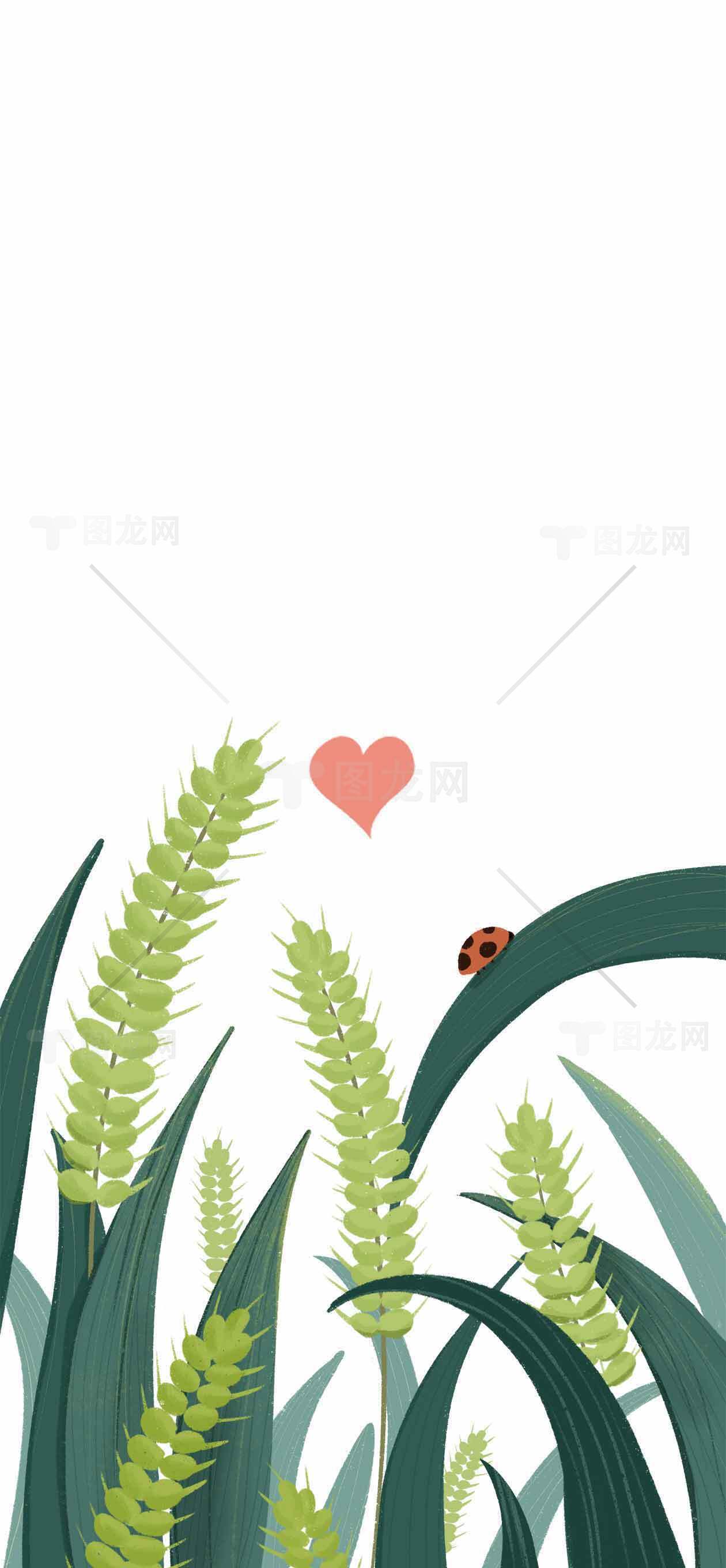 清新自然插画：绿色植物与瓢虫的浪漫邂逅素材