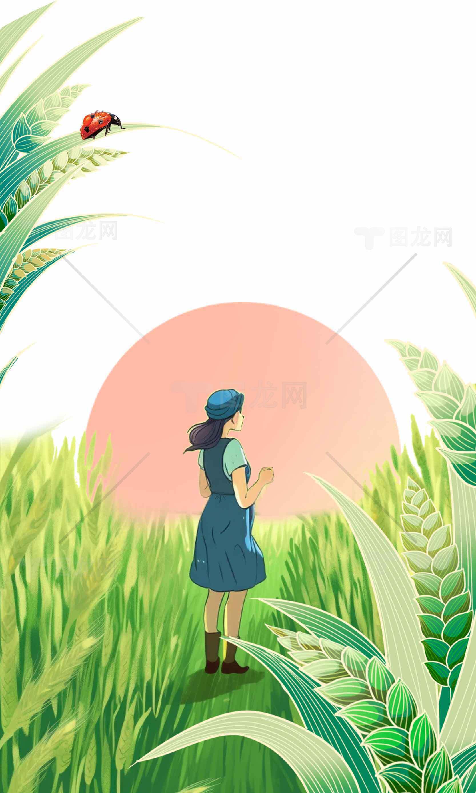 田野中的女孩与日出插画素材