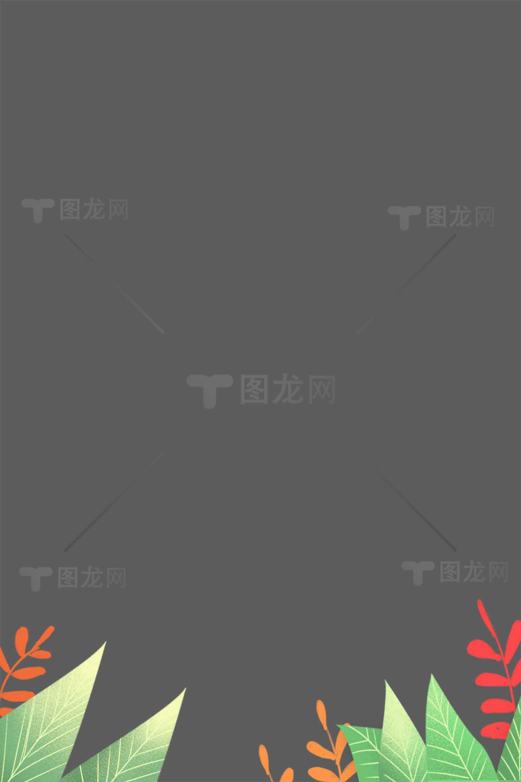 简约灰色背景与热带植物装饰设计素材